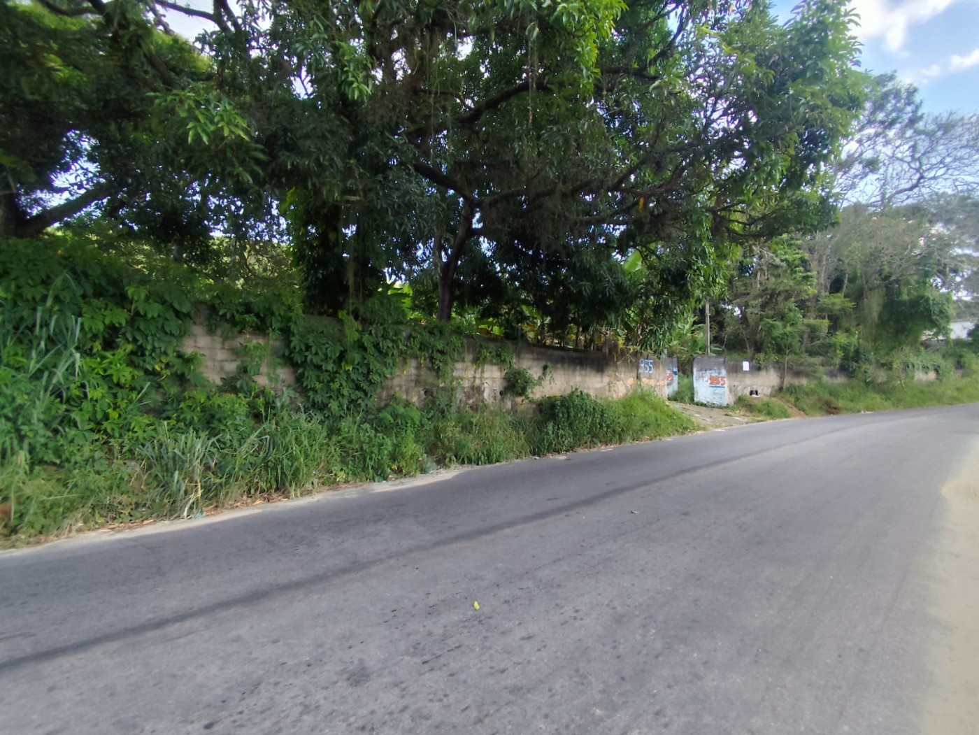 Terreno, 3 hectares - Foto 4