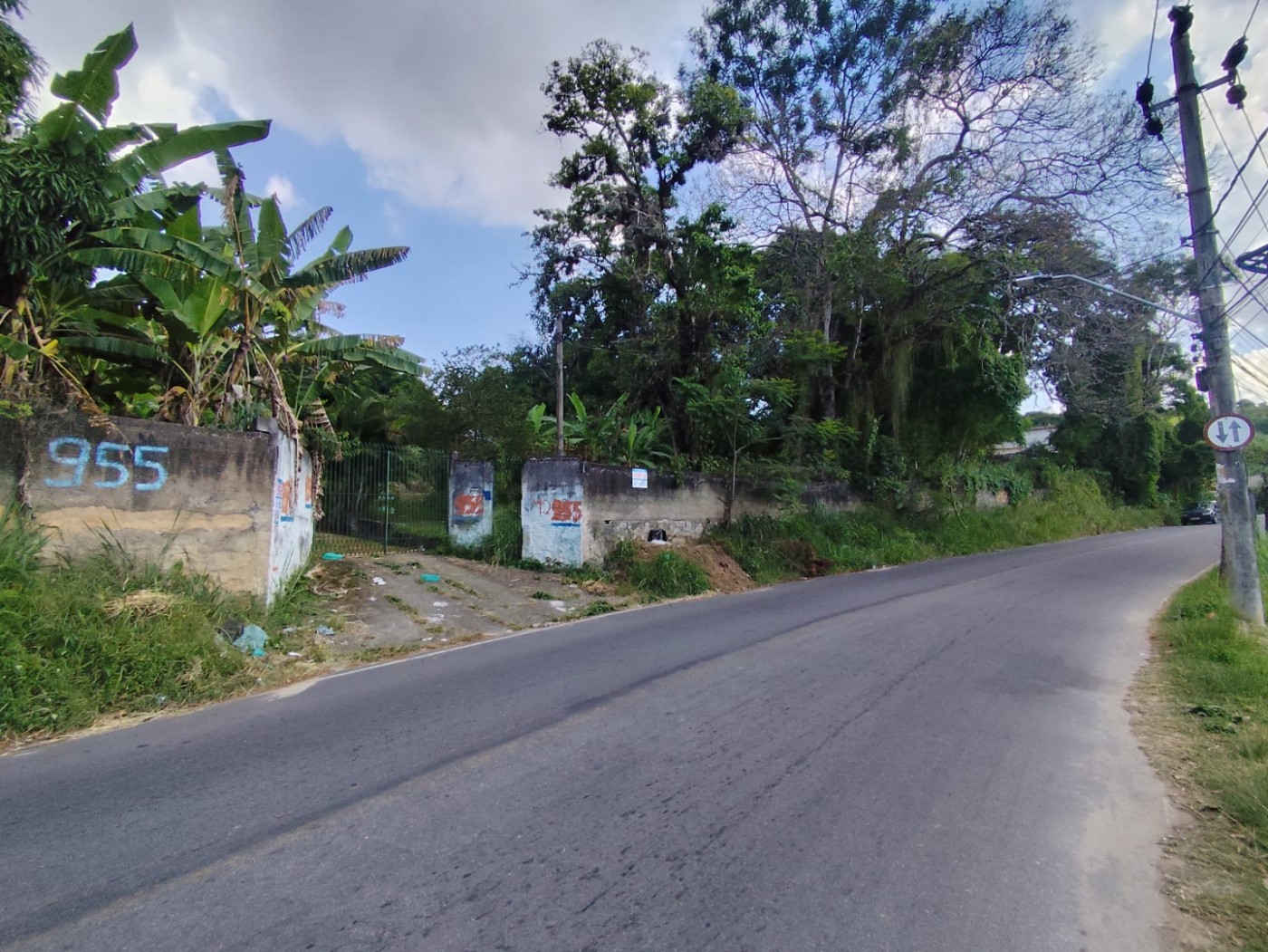 Terreno, 3 hectares - Foto 7
