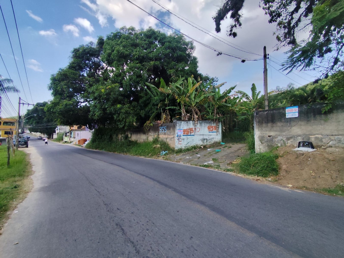 Terreno, 3 hectares - Foto 8