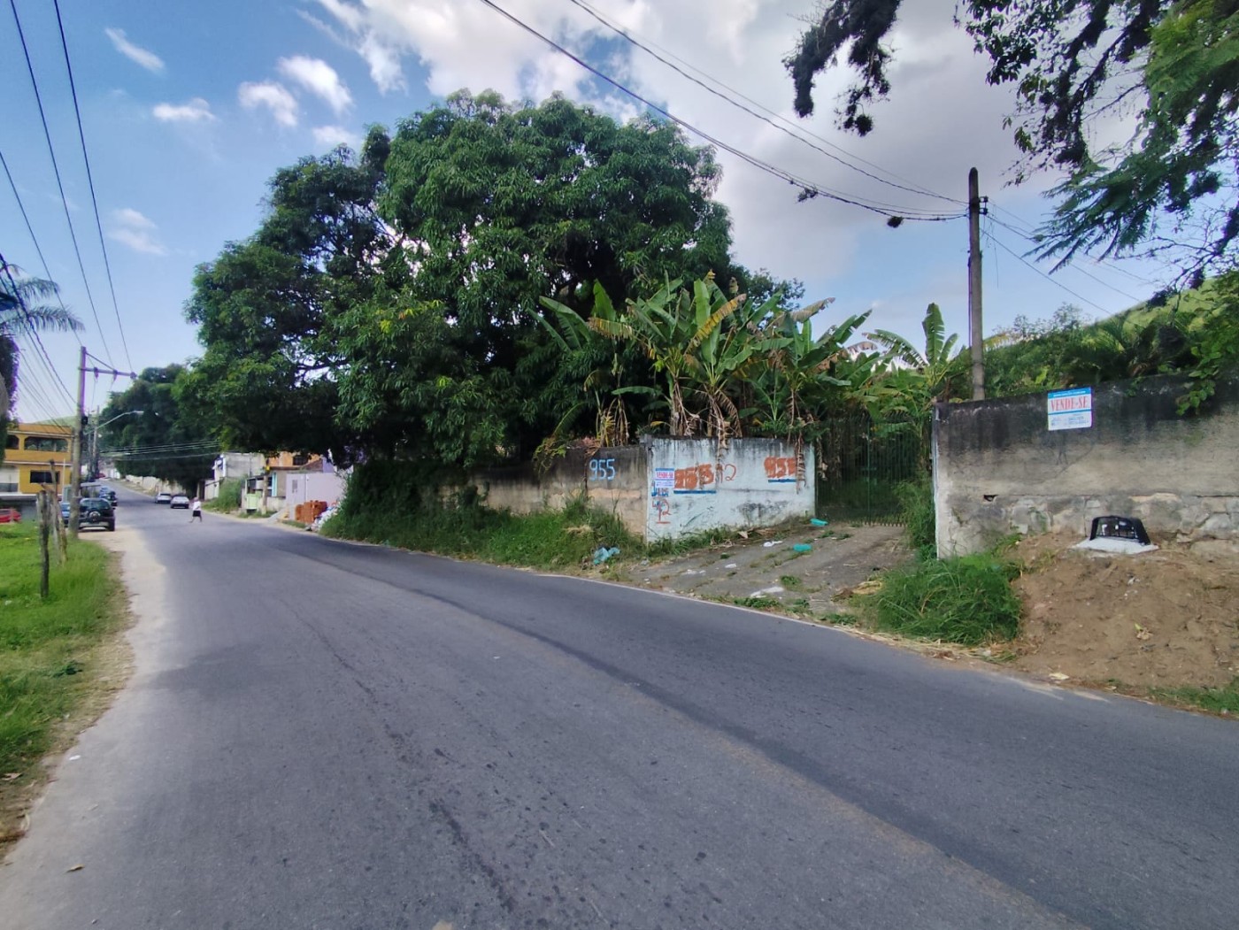 Terreno, 3 hectares - Foto 9