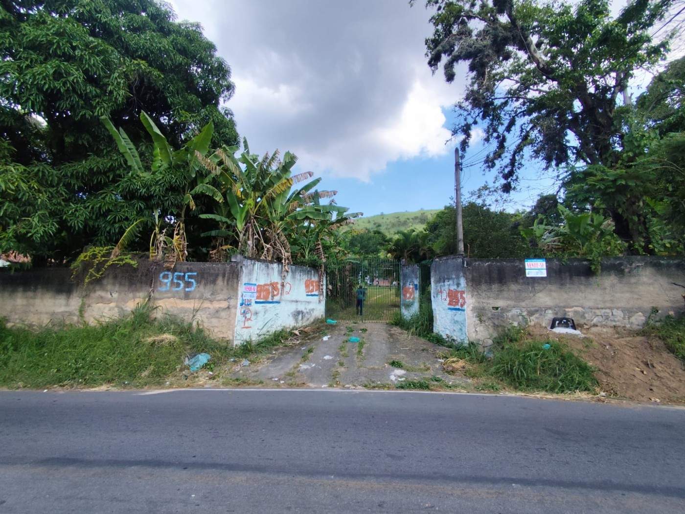 Terreno, 3 hectares - Foto 10