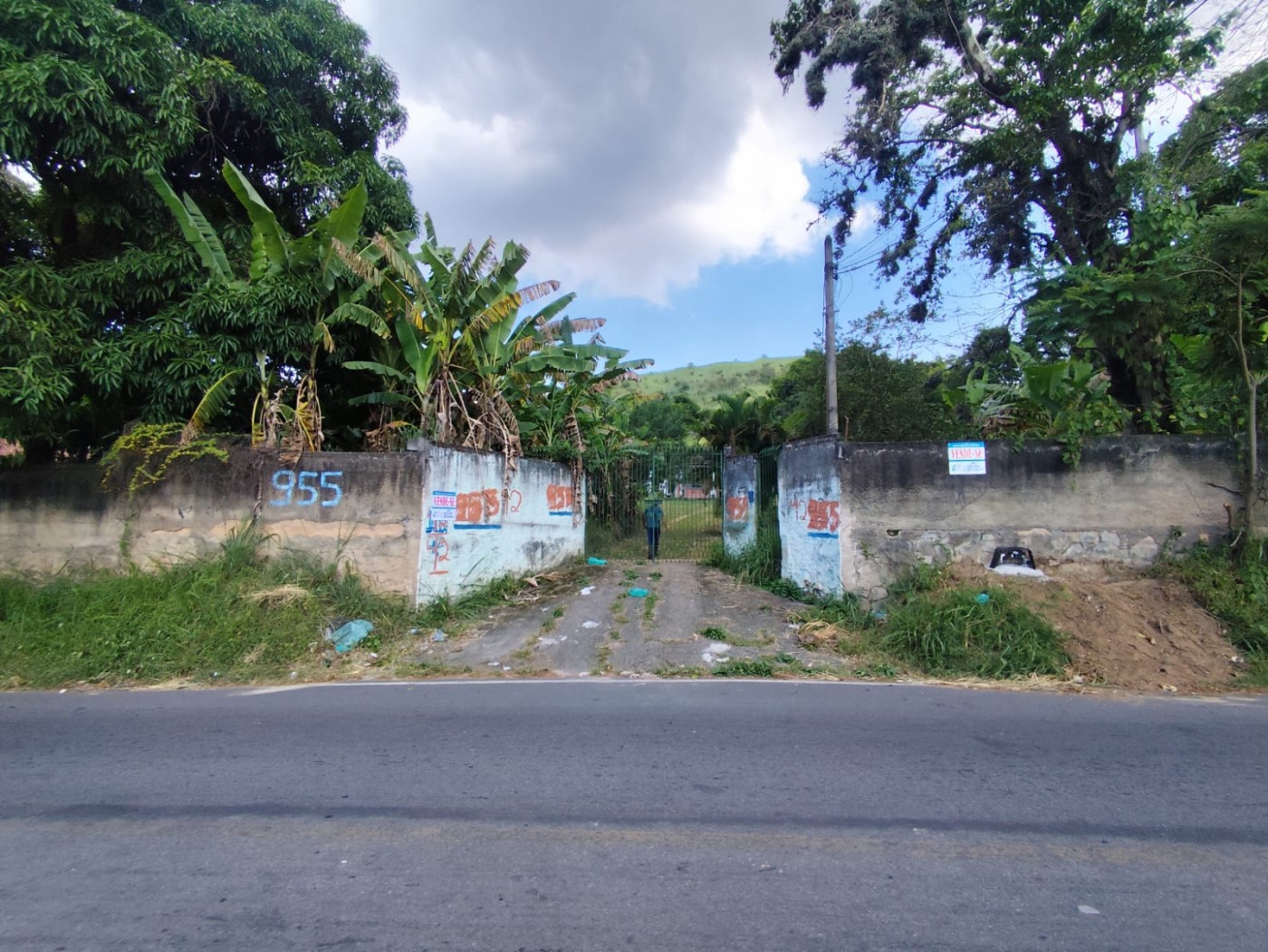 Terreno, 3 hectares - Foto 11