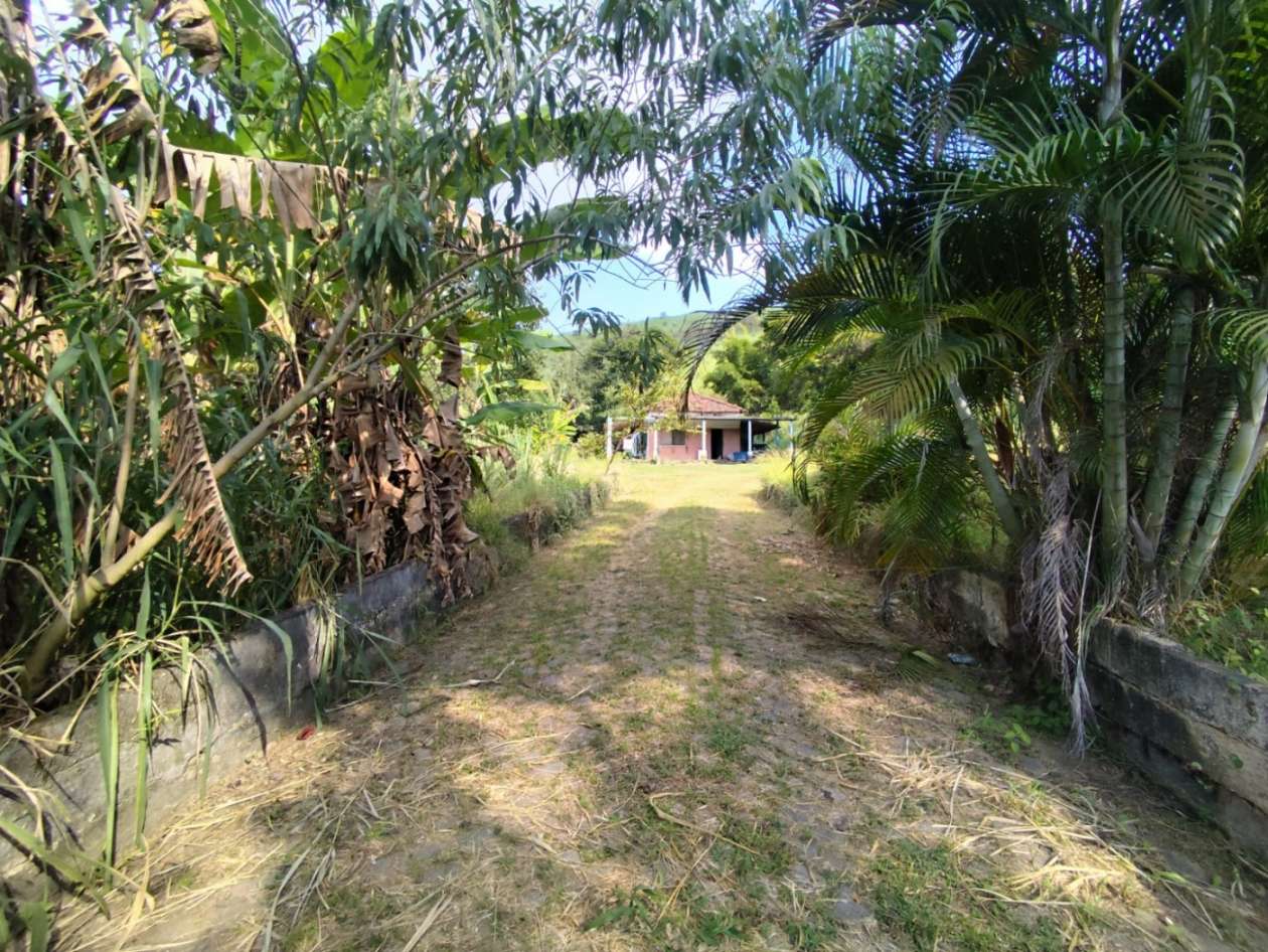 Terreno, 3 hectares - Foto 12