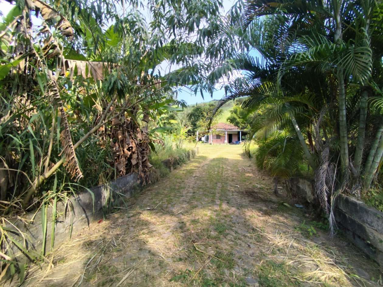 Terreno, 3 hectares - Foto 13