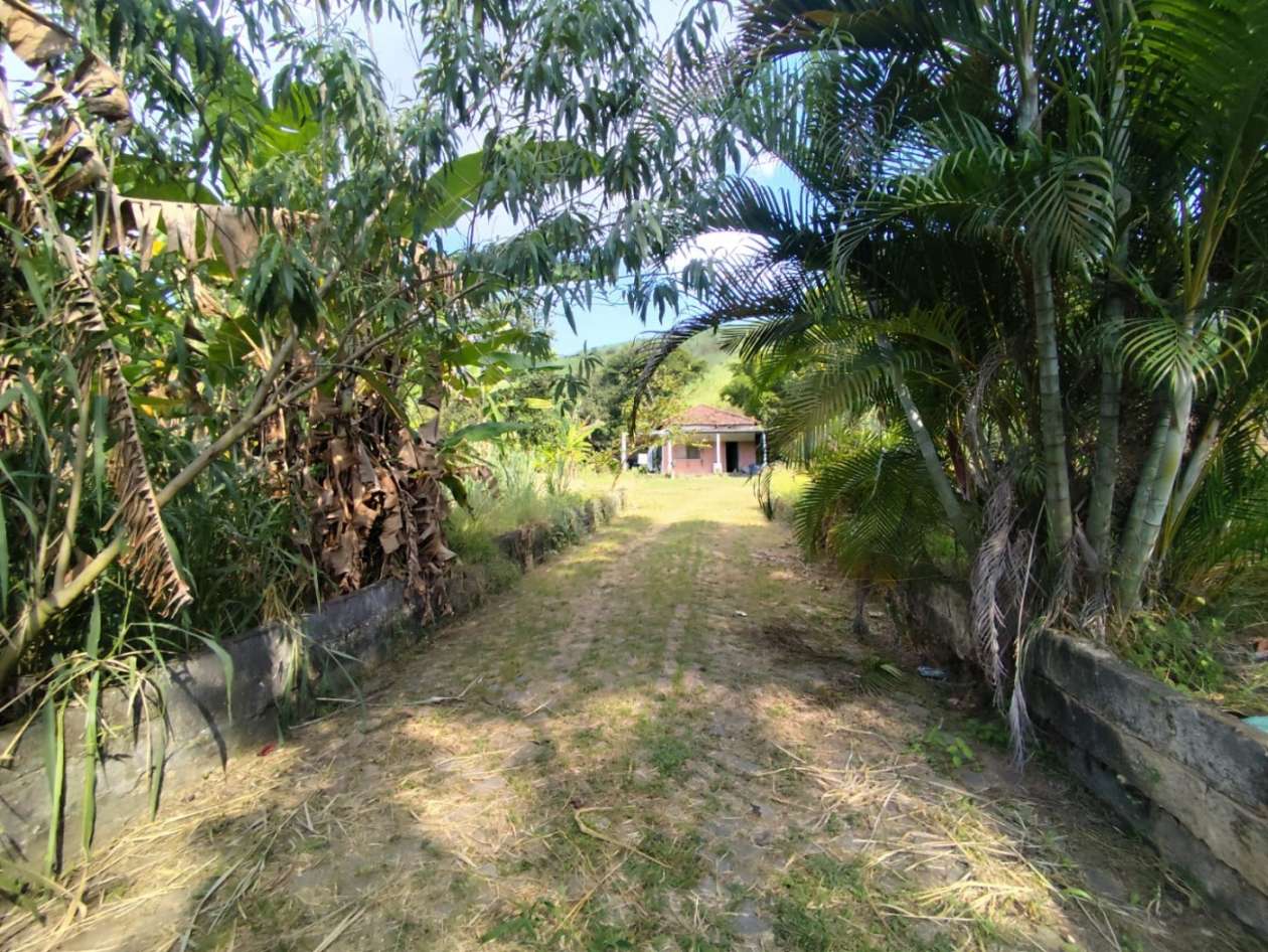 Terreno, 3 hectares - Foto 14