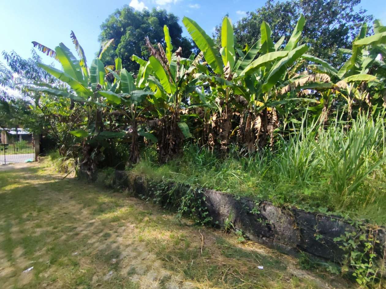 Terreno, 3 hectares - Foto 15