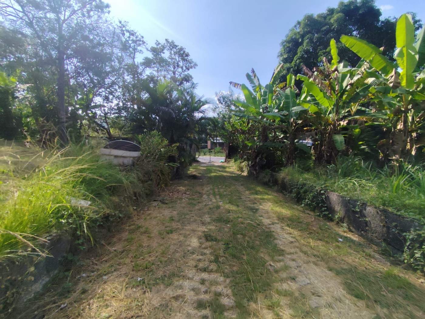 Terreno, 3 hectares - Foto 16