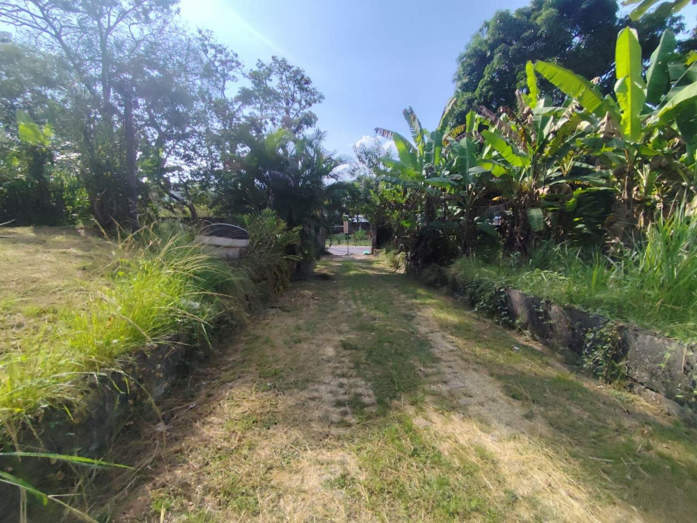 Terreno, 3 hectares - Foto 17