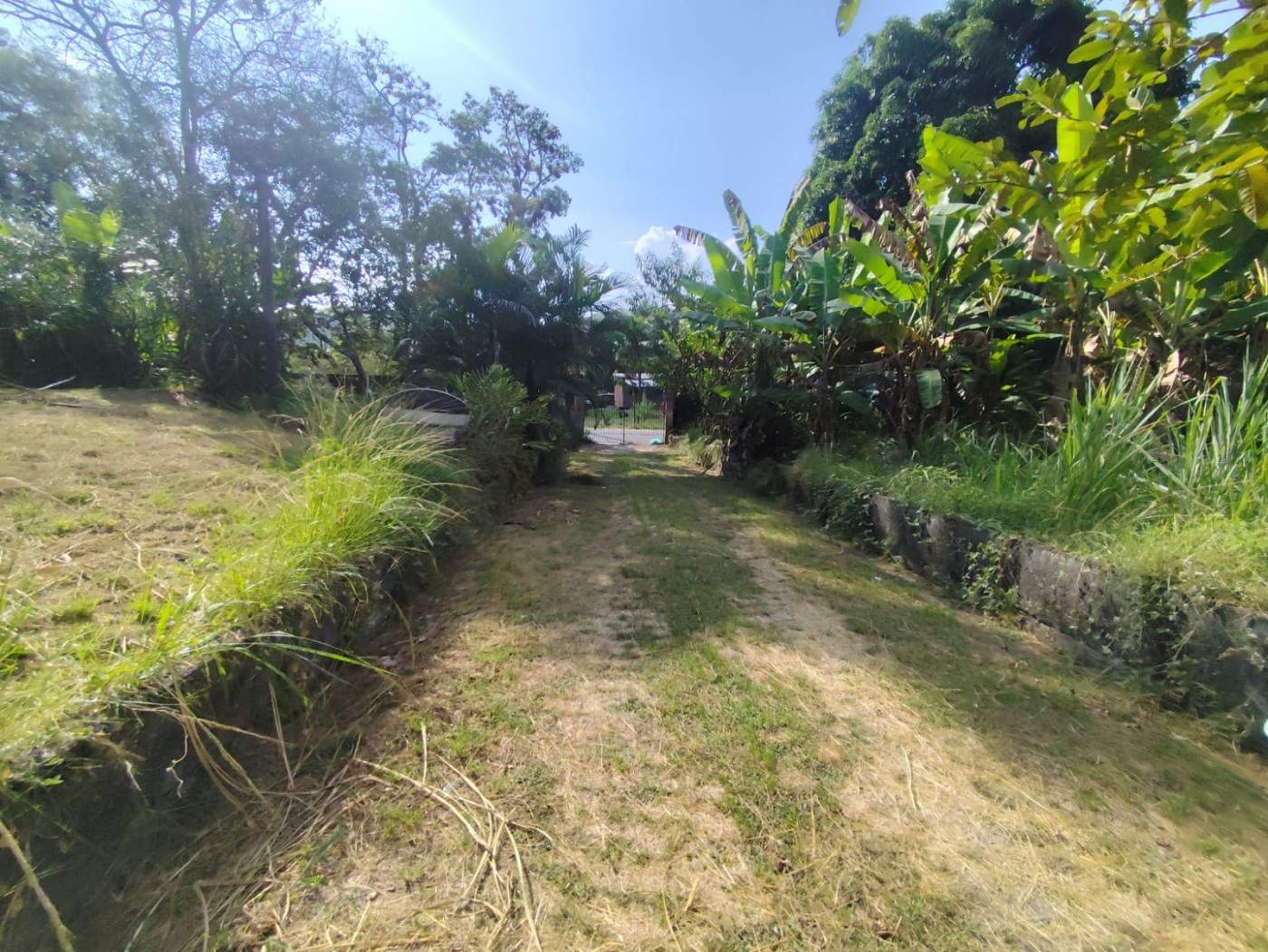 Terreno, 3 hectares - Foto 18